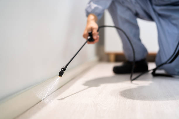 Licensed Mosquito Control service in Barrett, TX - Show Me Pest Control