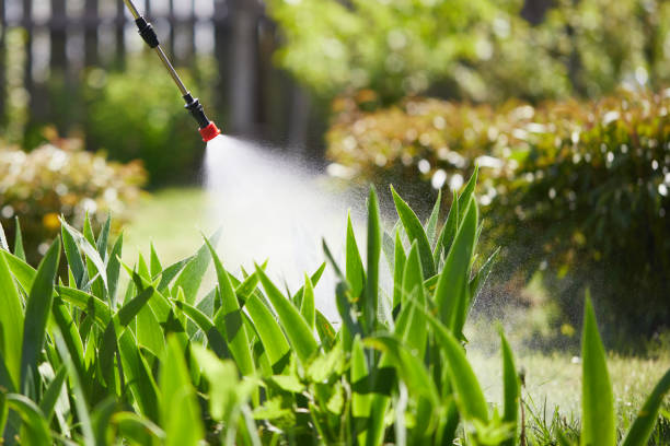 24/7 Emergency Mosquito Control experts in Barrett, TX