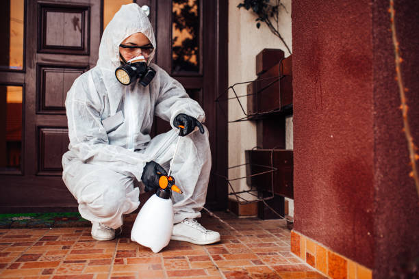 Reliable Mosquito Control contractor in Barrett, TX by Show Me Pest Control