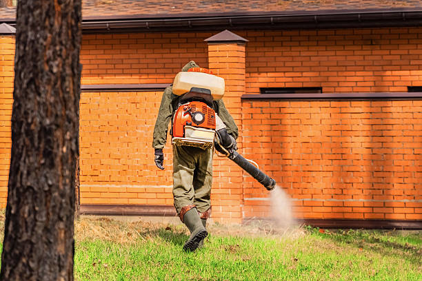 Top rated local Mosquito Control specialists in Barrett, TX